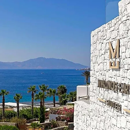 Mykonos Earth (adults Only) Hotel