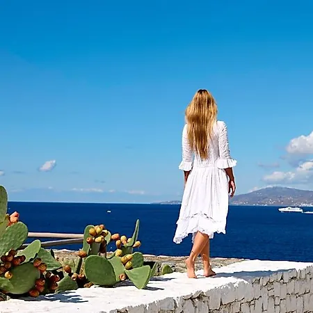 Otel Mykonos Earth (adults Only) 5*